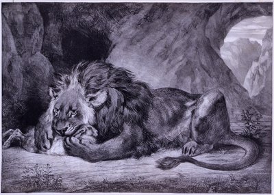 Lev z Atlasu od Eugène Delacroix