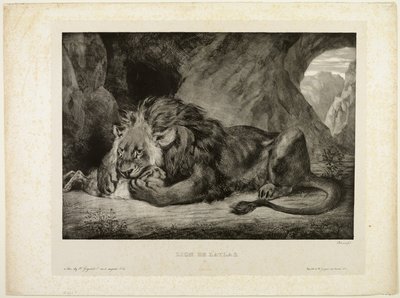 Lev z pohoří Atlas od Eugène Delacroix