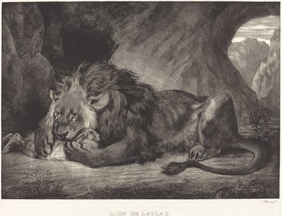 Lev z pohoří Atlas Lion de l