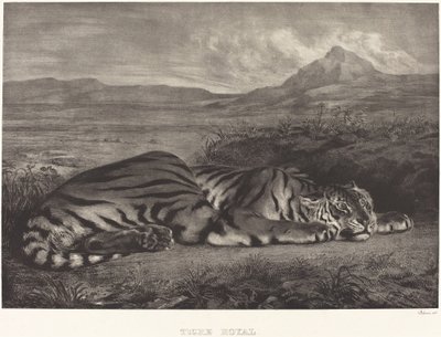 Královský tygr (Tigre Royal) od Eugène Delacroix