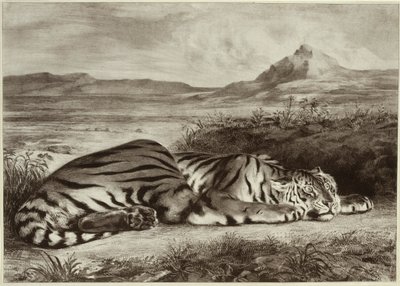 Královský tygr od Eugène Delacroix