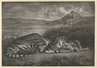 Královský tygr, 1829., 1829. od Eugène Delacroix