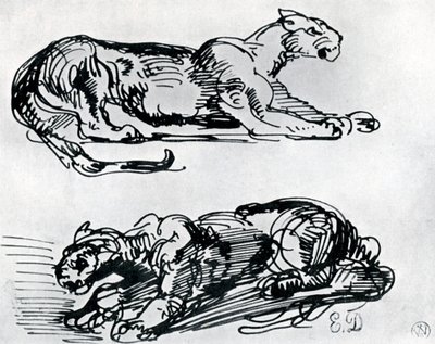 Studie panterů, 1913 od Ferdinand Victor Eugene Delacroix