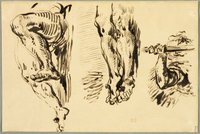Studie paží a nohou Krista ukřižovaného od Eugène Delacroix
