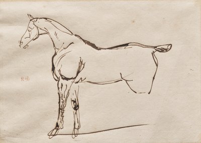 Studie koně od Eugène Delacroix
