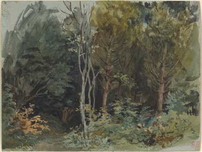 The Edge of a Wood at Nohant, c. 18421843. od Eugène Delacroix