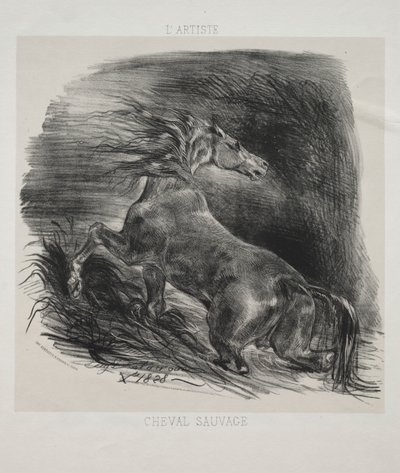 Divoký kůň aneb Splašený kůň opouštějící vodu od Eugène Delacroix