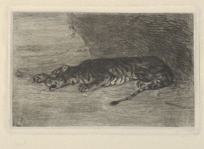 Tygr ležící u vchodu do svého doupěte, ca. 1828-30., ca. 1828-30. od Eugène Delacroix