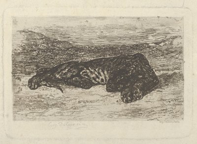 Tygr ležící v poušti, 1846., 1846. od Eugène Delacroix