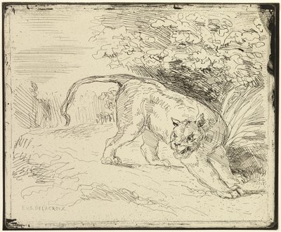 Tygr připravený na jaro od Eugène Delacroix