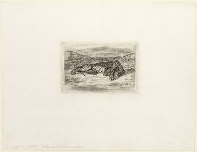 Tygr odpočívá v poušti od Eugène Delacroix