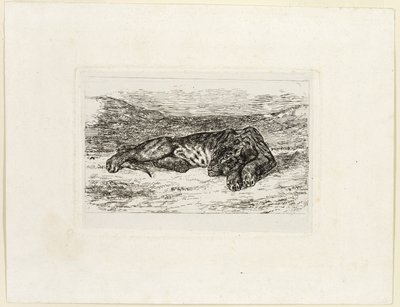 Tygr odpočívá v poušti od Eugène Delacroix