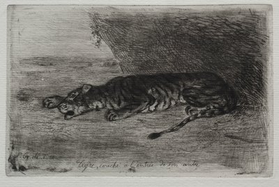 Tygr spí u vchodu do svého doupěte od Eugène Delacroix