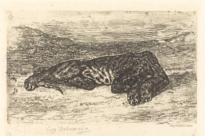 Tygr spí v poušti od Eugène Delacroix