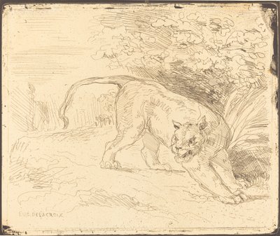 Tygr v zastavení od Eugène Delacroix