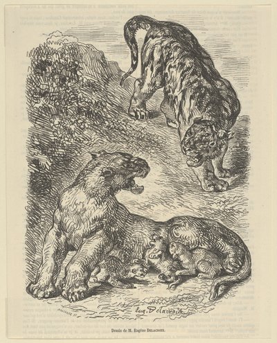Tygřice napadená tygrem při kojení mláďat, 1853., 1853. od Eugène Delacroix