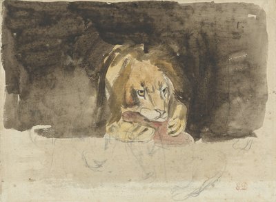 Masožravý lev, při pohledu zepředu, vycházející na tmavém pozadí od Eugène Delacroix