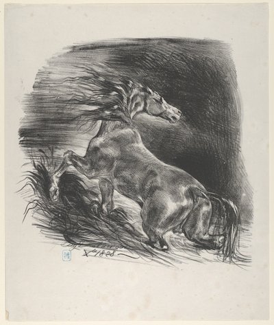 Divoký kůň, 1828., 1828. od Eugène Delacroix