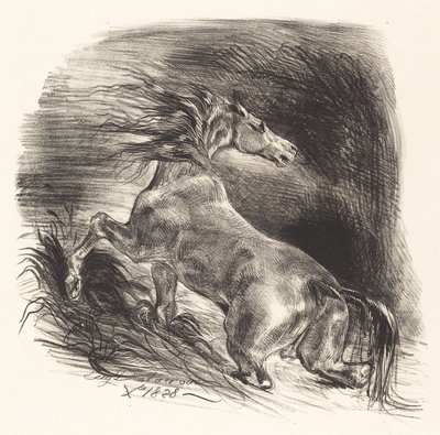 Divoký kůň vycházející z vody Cheval sauvage, 1828. od Eugène Delacroix