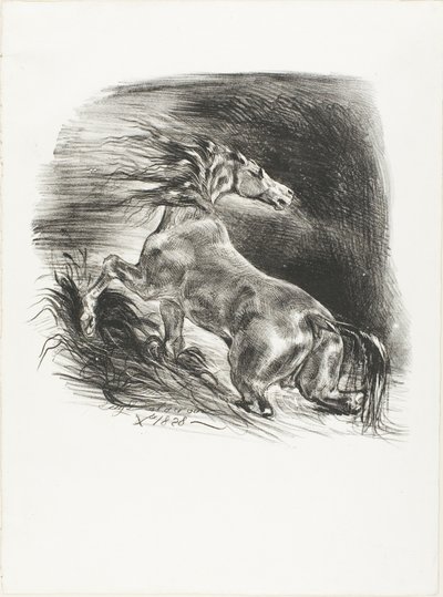 Divoký kůň aneb Splašený kůň opouštějící vodu od Eugène Delacroix