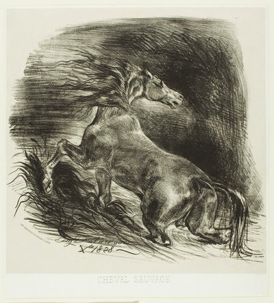 Divoký kůň nebo splašený kůň opouštějící vodu od Eugène Delacroix