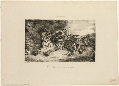 Mladý tygr si hraje se svou matkou od Eugène Delacroix