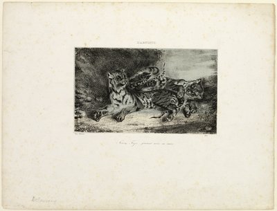 Mladý tygr si hraje se svou matkou od Eugène Delacroix