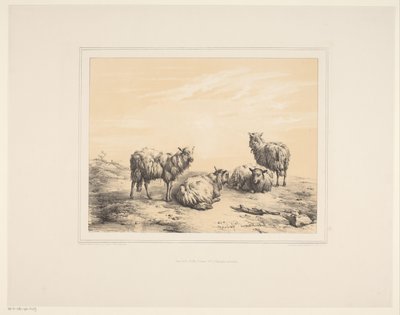 Čtyři ovce Různá zvířata (název série) Animal Studies (název série) od Eugène Verboeckhoven