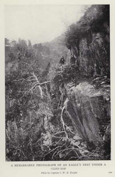 Pozoruhodná fotografie orlího hnízda pod vrcholem útesu (č/b foto) od European Photographer