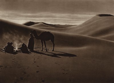 Večer v poušti (čb fotografie) od European Photographer