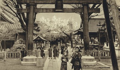 Japonsko, ulice v Tokiu, čas rozkvětu třešně (č/b foto) od European Photographer