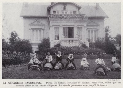 La Menagerie Hagenbeck (černobílá fotografie) od European Photographer