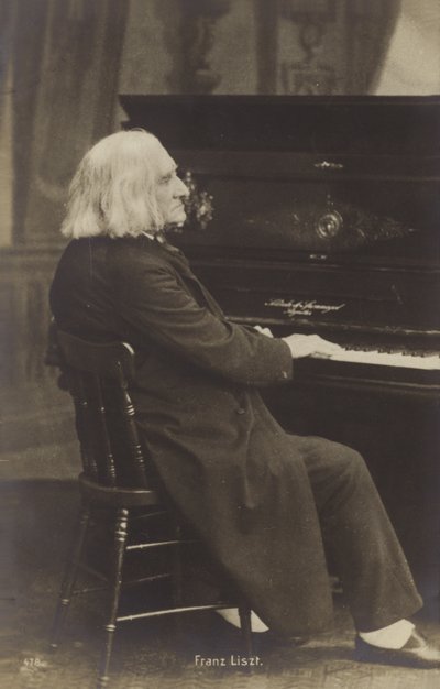 Portrét Franze Liszta od European Photographer