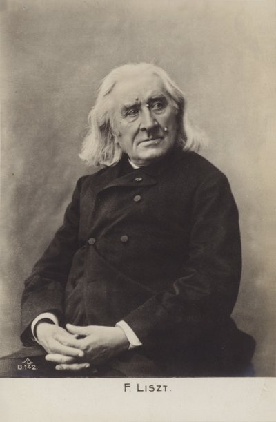 Portrét Franze Liszta od European Photographer
