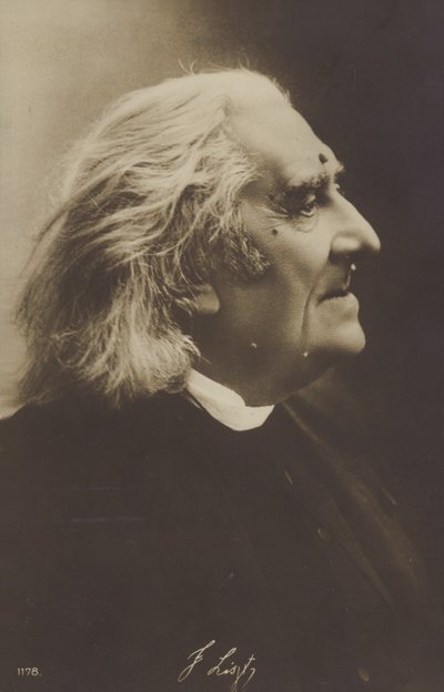 Portrét Franze Liszta od European Photographer