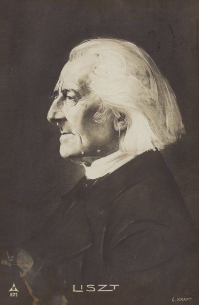 Portrét Franze Liszta od European Photographer