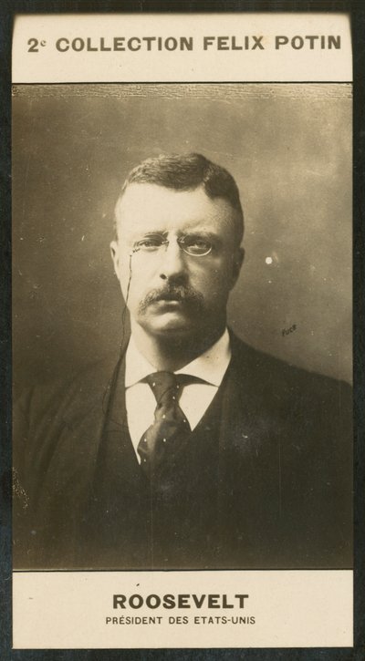 Theodore Roosevelt, prezident Spojených států amerických od European Photographer