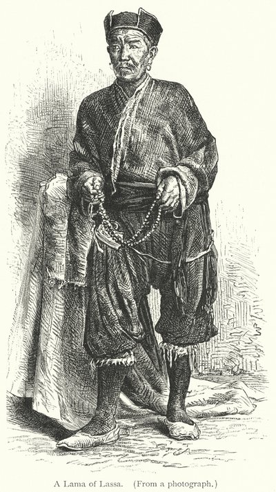 Lama of Lassa (rytina) od European School