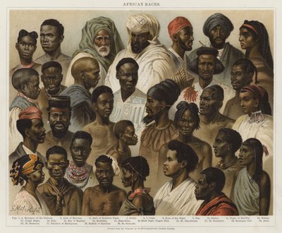 Africké rasy od European School