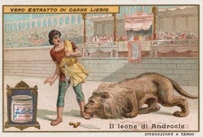 Androkles a lev od European School