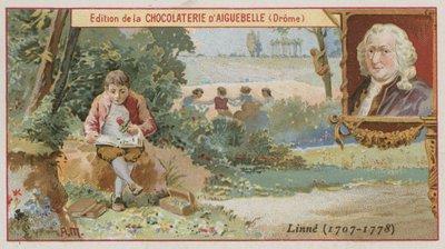 Carl Linnaeus , švédský botanik a zoolog od European School