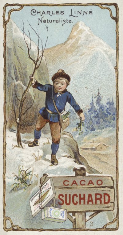 Carl Linnaeus, švédský botanik a zoolog, jako dítě od European School