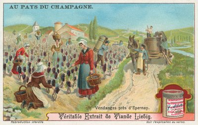 Šampaňské, Liebigova karta, počátek 20. století (chromo) od European School
