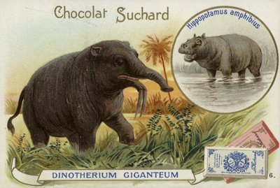 Deinotherium Giganteum a hroch od European School
