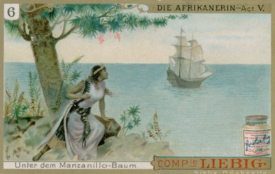 Die Afrikanerin: Akt 5 od European School