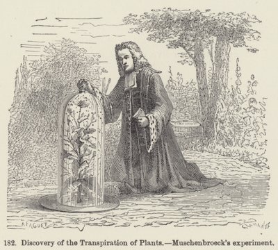 Objev transpirace rostlin, Muschenbroeckův experiment (rytina) od European School