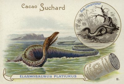 Elasmosaurus a hroznýš obecný od European School