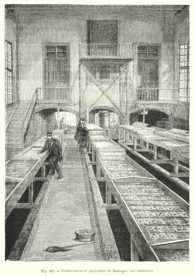 Závěsný od European School