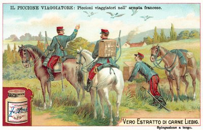 Francouzští armádní poštovní holubi (chromolitho) od European School