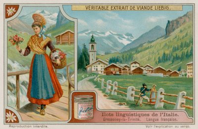 Francouzsky mluvící Gressoney-La-Trinite od European School